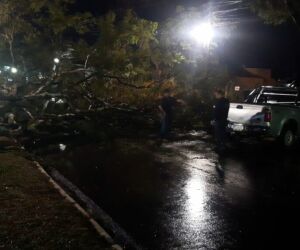 Tempestade em Dourados: Ventos de 90 km/h e quase 4 mil raios causam estragos