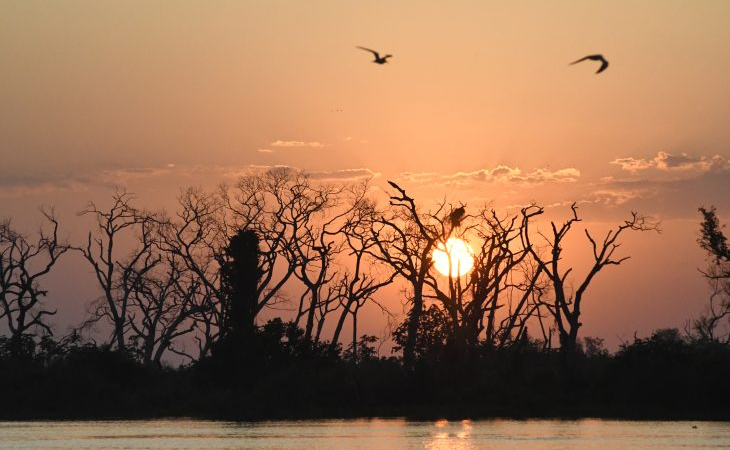 Nesta segunda-feira a temperatura pode atingir até 43°C em algumas regiões do estado