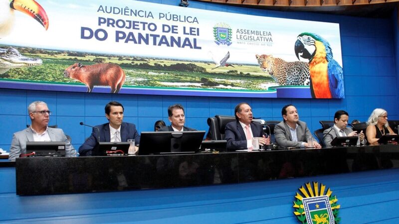 Gerson diz que lei do Pantanal vai garantir desenvolvimento sustentável do Bioma