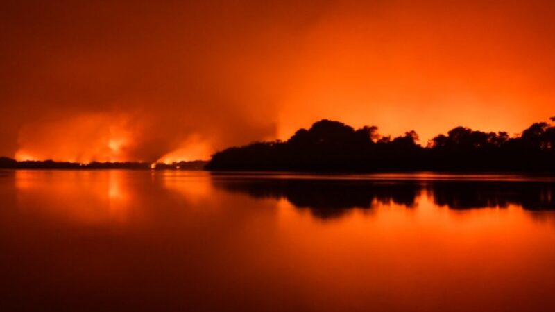 Primeira quinzena de novembro marcada por incêndios no Pantanal