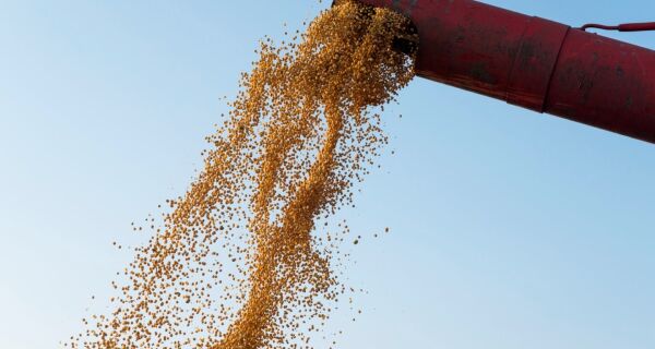 Campo Grande ganha hoje o título legal de “Capital do Agro”