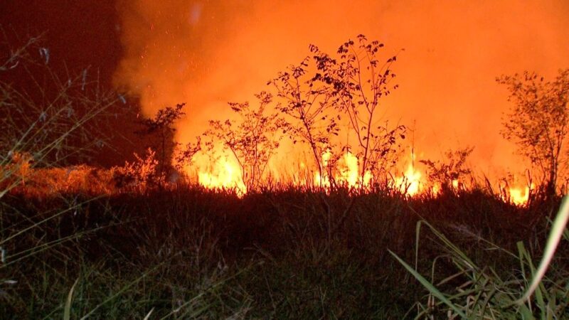 Estado de Emergência: Cinco Cidades de Mato Grosso do Sul Mobilizam Recursos Contra Incêndios