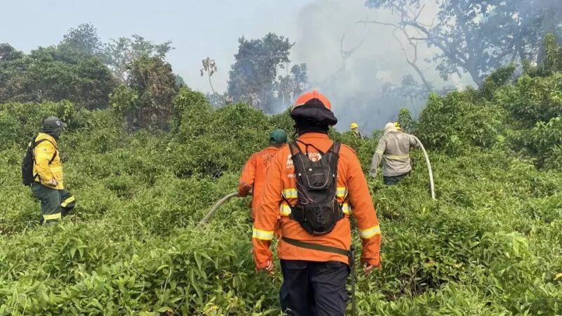 Chuva diminui 97% dos focos de incêndios no Pantanal