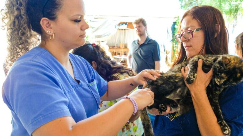 “Subea em Ação” Chega à Vila Margarida com Primeiro Mutirão Veterinário do Ano