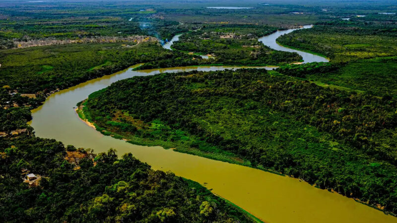 Lei do Pantanal entra em vigor em fevereiro com regulamentação abundante