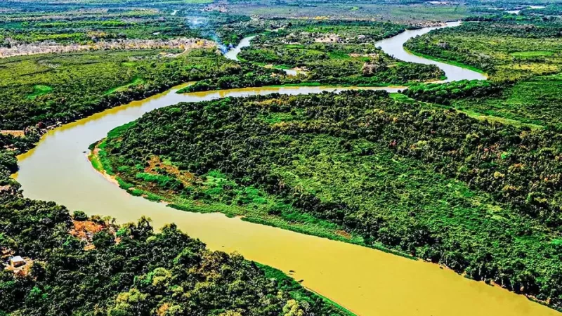 Mato Grosso do Sul corre contra o tempo para regulamentar Lei do Pantanal