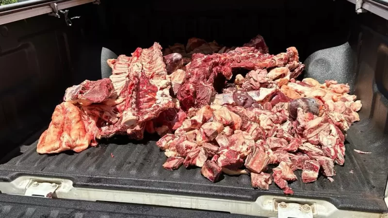 Operação da Decon e Iagro resulta na prisão de comerciantes por venda de carne de abate clandestino