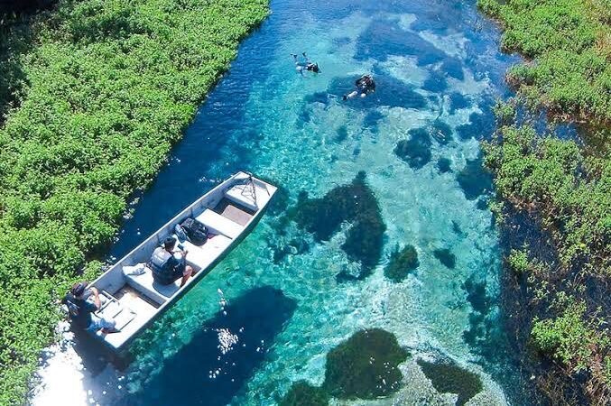 Descubra a serenidade das águas límpidas da Barra do Sucuri e mergulhe na beleza natural incomparável do Brasil