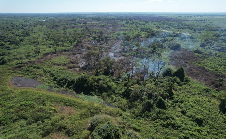 Incêndios florestais no Pantanal e em Naviraí mobilizam bombeiros de MS