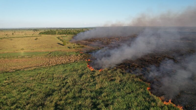 Bombeiros de MS atuam no combate a dois incêndios florestais, no Pantanal e em Naviraí