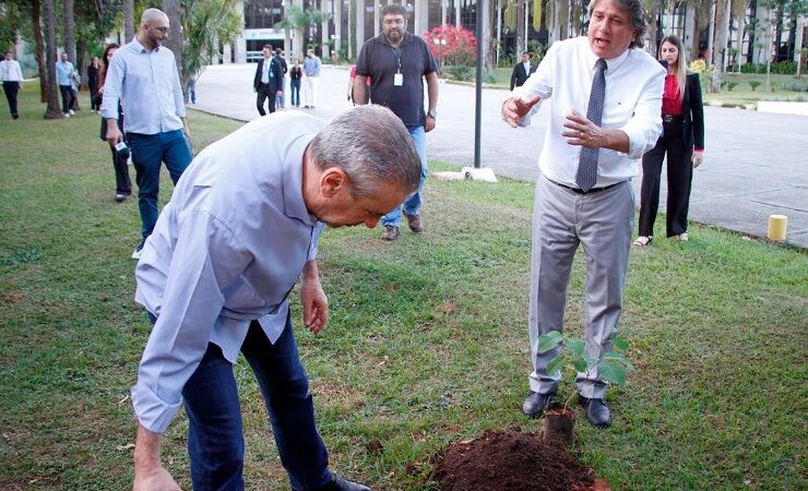 Dia do Meio Ambiente: Em gesto simbólico, deputados plantam mudas de ipês