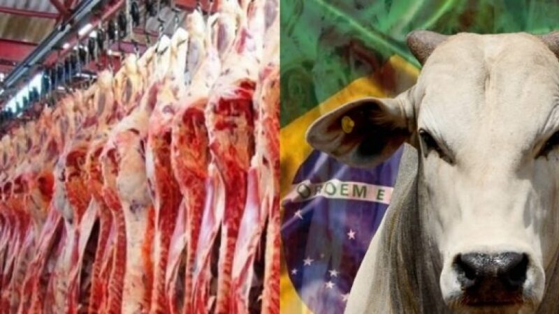 Brasil bate recorde de exportação de carne bovina