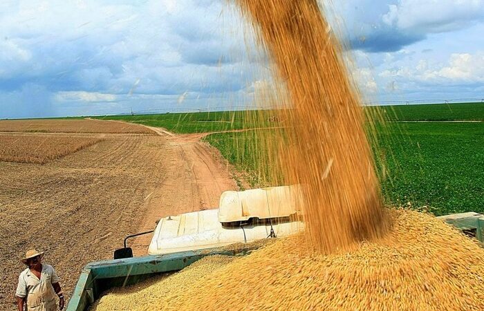 Estudo aponta que Mato Grosso do Sul pode cultivar soja em 6,1 milhões de hectares de terras degradadas.