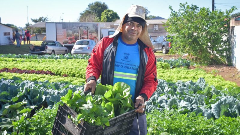 Hortas aumentam duas vezes em dois anos e mudam o visual de Campo Grande.