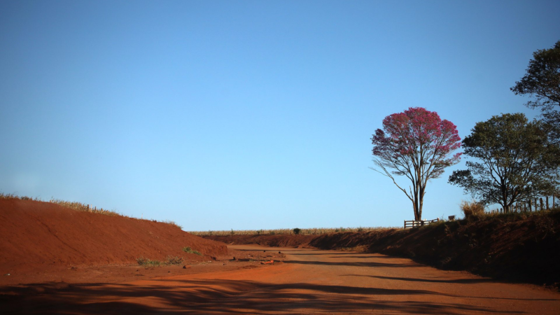 Com baixa umidade do ar e sol, MS tem previsão de semana quente e sem chuva