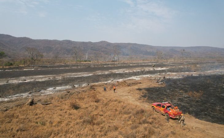 Pantanal tem situação climática severa que intensifica incêndios florestais e oito focos com ações de combate