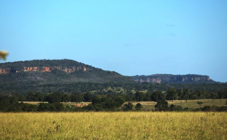 Temperaturas permanecem em elevação e quinta-feira registra tempo quente e seco no Estado