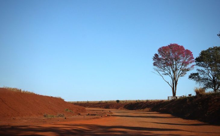 Tempo permanece quente e seco, com umidade relativa do ar entre 5% e 20% nesta quarta-feira