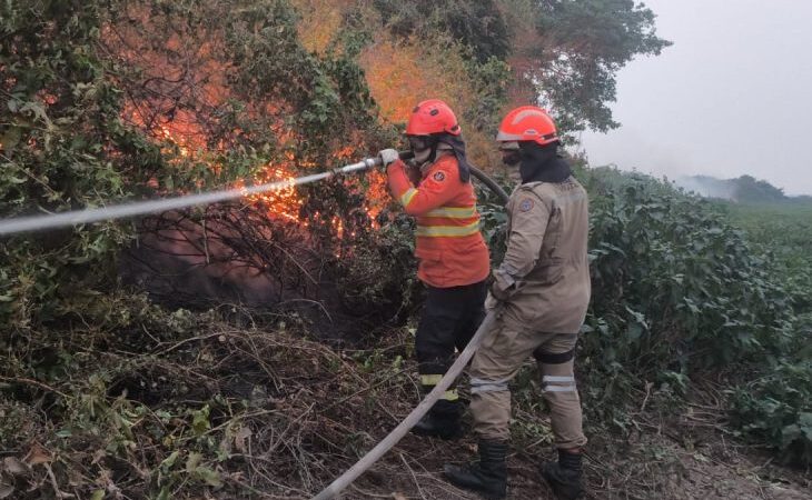 Incêndios florestais se intensificam em biomas de MS, na fronteira com a Bolívia combate continua