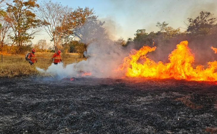 Pantanal de MS tem quatro focos de incêndios ativos e trabalho de combate no bioma completa 198 dias