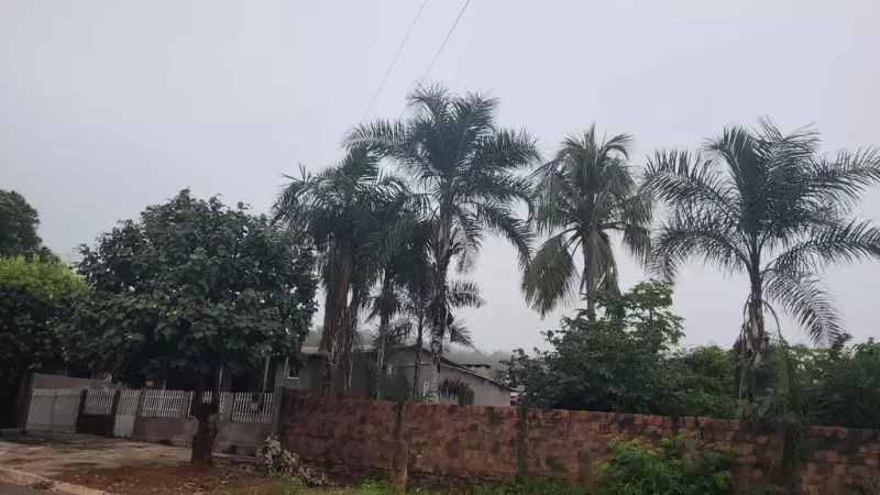 Também registram leve nevoeiro nesta manhã em Rio Negro e Ponta Porã