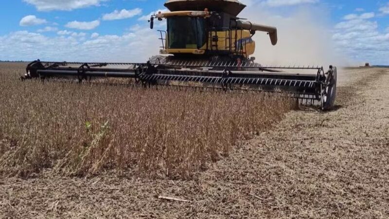 A safra de soja 2024/2025 em Mato Grosso do Sul enfrenta desafios significativos, especialmente no sul do estado, devido a condições climáticas adversas