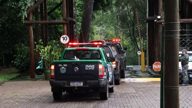 onça-pintada que teria matado um caseiro no Pantanal foi capturada e levada para o Centro de Reabilitação de Animais Silvestres (CRAS) em Campo Grande MS