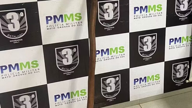 Mulher embriagada agredir ex com enxada e é contida pela PM em Campo Grande