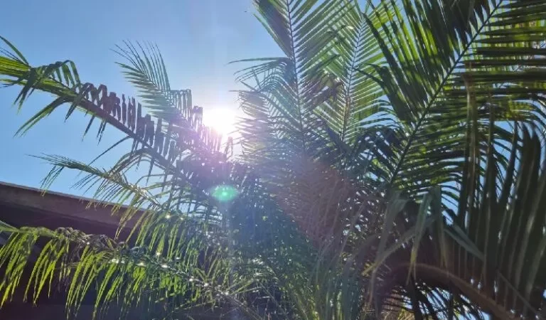 Frente fria se aproxima e pode provocar chuvas e queda de temperatura em MS