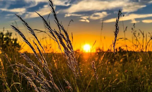 Sol volta a aparecer em MS após frente fria, mas nova mudança no tempo já se aproxima