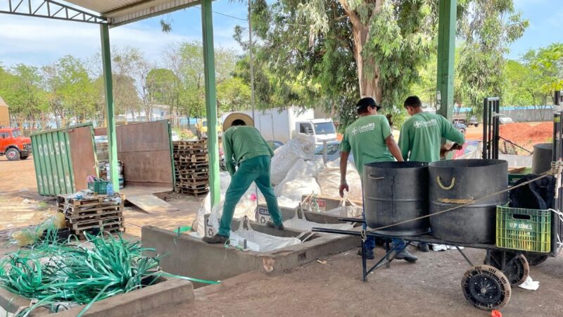 Ceasa-MS encaminha 662 toneladas de resíduos para reciclagem e amplia ações sustentáveis