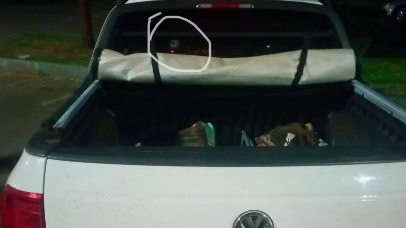 Idoso é baleado na cabeça ao escapar de tentativa de assalto na MS-382