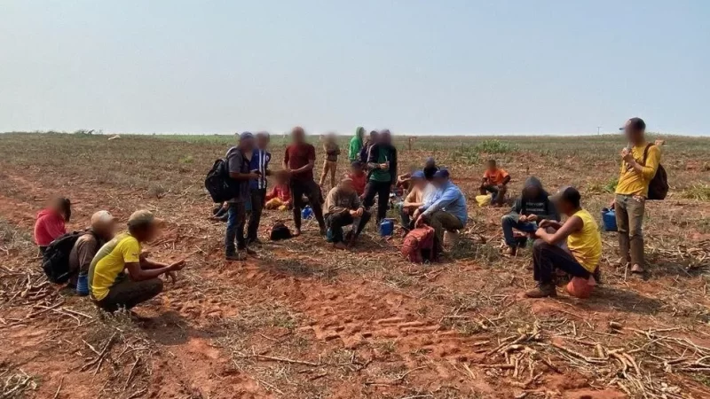 Sete paraguaios, incluindo dois adolescentes, são resgatados de trabalho análogo à escravidão em MS
