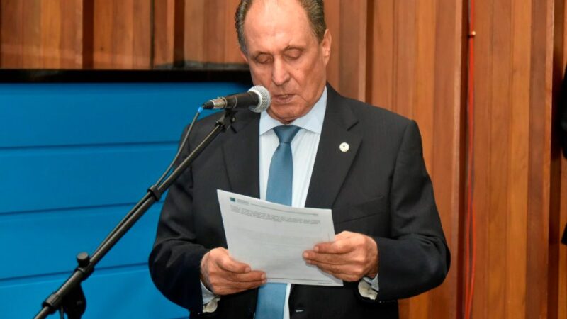 Projeto de Lei quer proibir árvore exótica que ameaça abelhas e beija-flores em MS