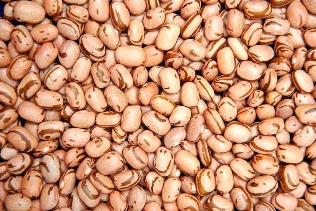 Feijão e grão-de-bico podem ajudar a proteger o coração, aponta novo estudo com pré-diabéticos