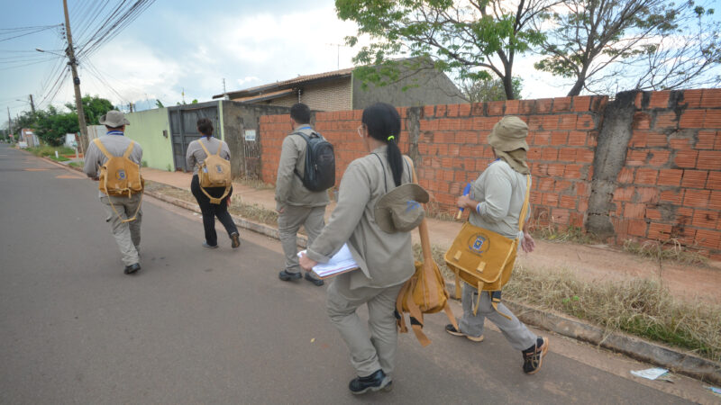 Agente de saúde é atacada por cães soltos em Jardim (MS)