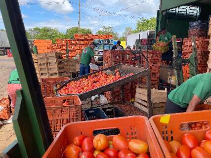 Frio provoca queda nos preços da cebola e da maçã, mas eleva valor do tomate e da banana em MS