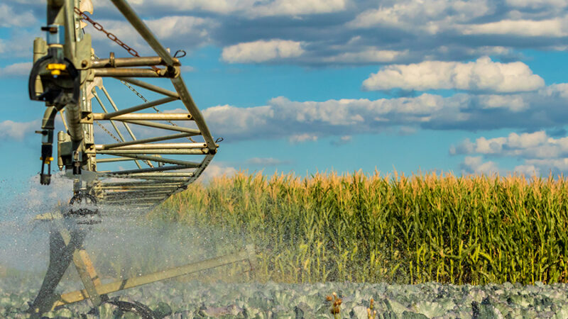 Uso de herbicidas no Brasil cresce 128% em 11 anos e acende alerta sobre resistência ao glifosato