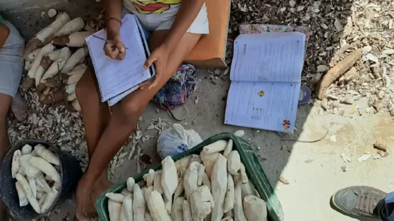 Nova regra do INSS reconhece tempo de trabalho infantil na aposentadoria