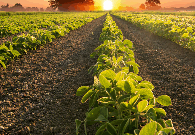 MS esta entre os três maiores crescimentos do Brasil em 2025, com alta de 5,3% no PIB