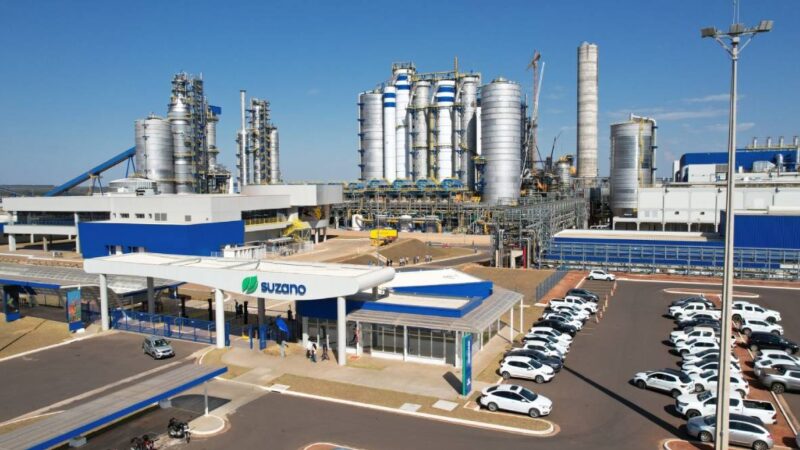 Suzano e Programa Cultivar abrem portas com curso gratuito e bolsa‑auxílio de R$ 1.400