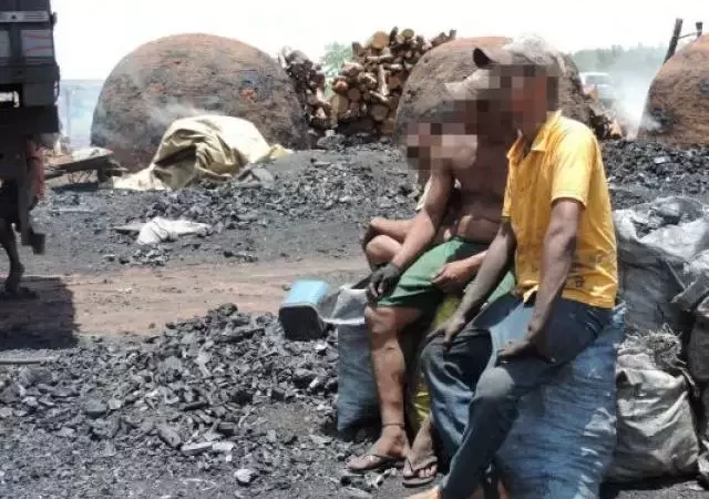 Trabalho análogo à escravidão: resgate em Coxim resulta em indenização de R$ 740 mil