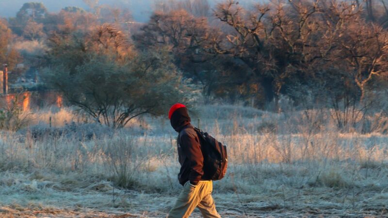 Frio intenso persiste e geada atinge parte de Mato Grosso do Sul