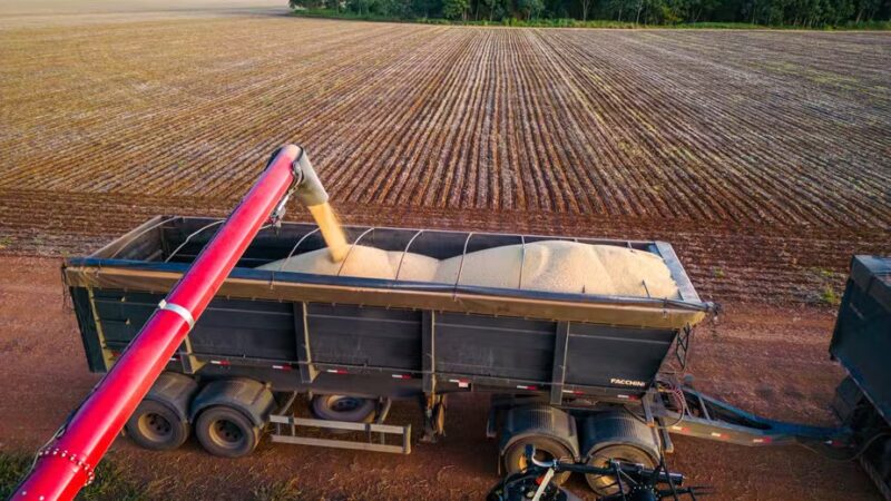 Safra 2024/25: Mato Grosso do Sul lidera crescimento com alta de 30% na produção de grãos