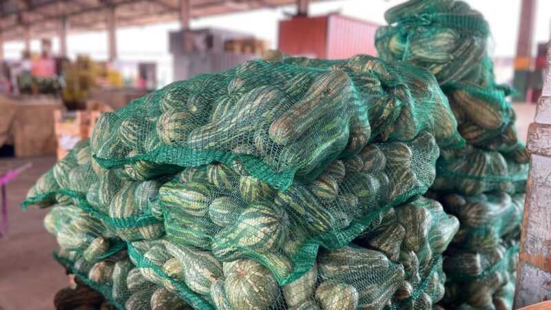 Frio encarece hortaliças em MS; quiabo sobe 15% e berinjela chega a R$ 70 a caixa