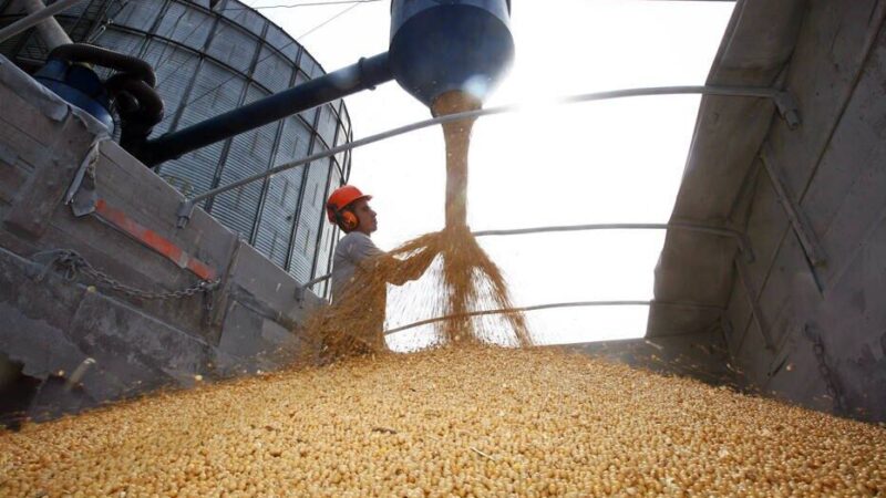 Balança comercial de MS tem superávit de US$ 4,83 bi em julho de 2025