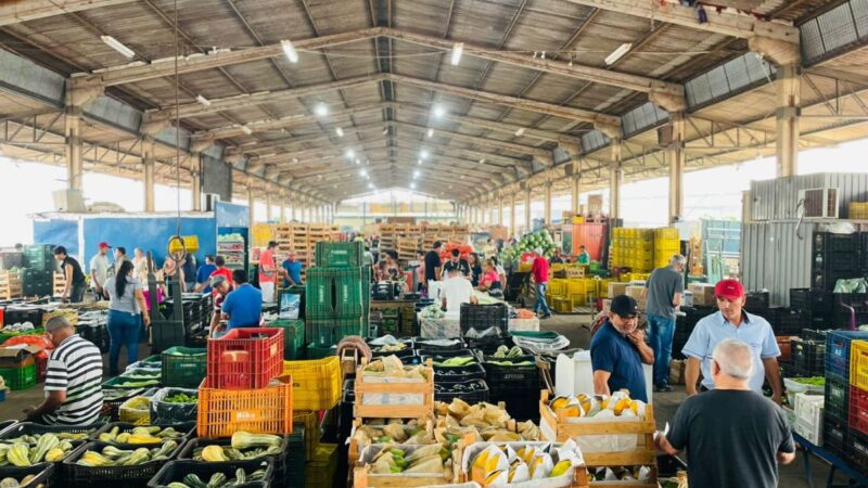 Banana lidera vendas na Ceasa-MS; tomate e batata aparecem na sequência