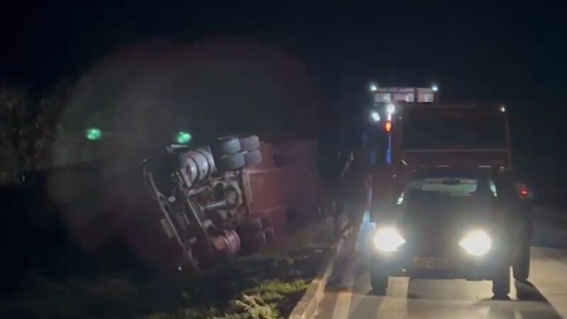 Carreta com 50 bois tomba no anel viário entre BR-163 e MS-010 em Campo Grande