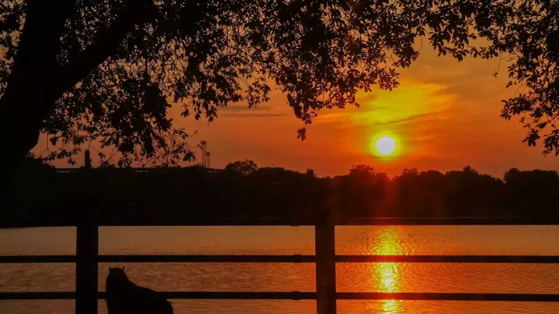 Domingo (31) será de sol forte e baixa umidade em Mato Grosso do Sul