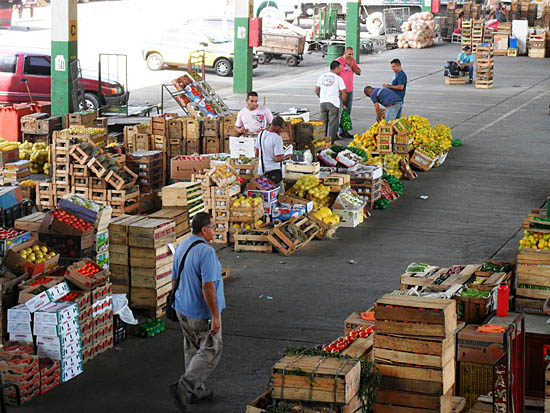 Alface e quiabo ficam mais baratos na Ceasa/MS, mas frutas sobem de preço